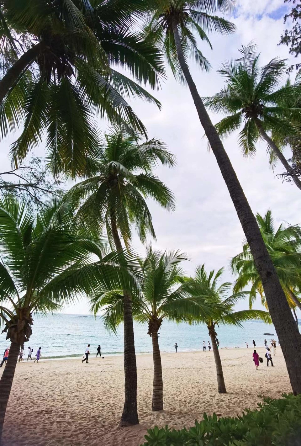 JFUmd40YugPeNQcIF0eD5Xkb4ubrTnWXMfiRPPoJJc2YbthCZ_tqsuUz4VHtI-Zo