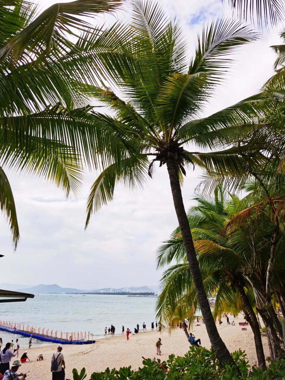 JFUmd40YugPeNQcIF0eD5dvCTt32_iI4M66NyH_-Ha5hAA5vq650Yjbqz7WLl9f3