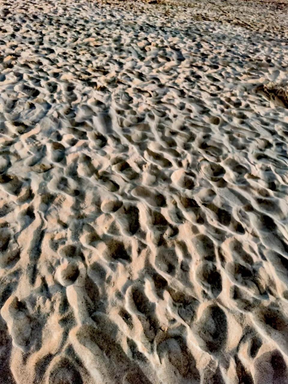 JFUmd40YugPeNQcIF0eD5RRCvwzal4L-7r9TAOyC7em0W-qygeBd4VLroIOb7fv_