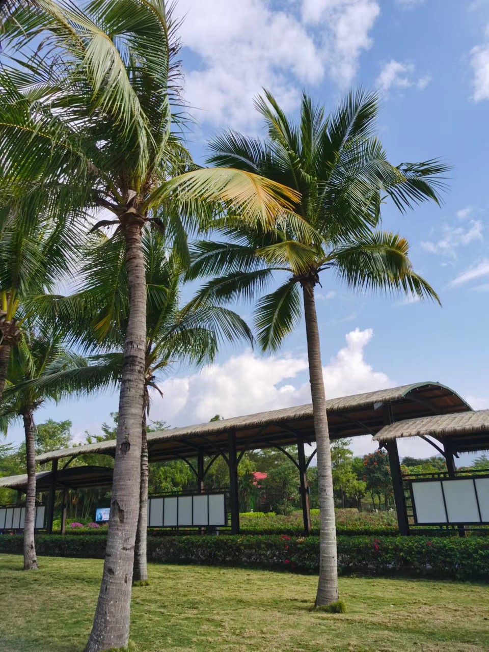 JFUmd40YugPeNQcIF0eD5ZeIWzb7FA6Nl9Qo43MlUgO8AJNMzOPTtWgPcrTNDlC-