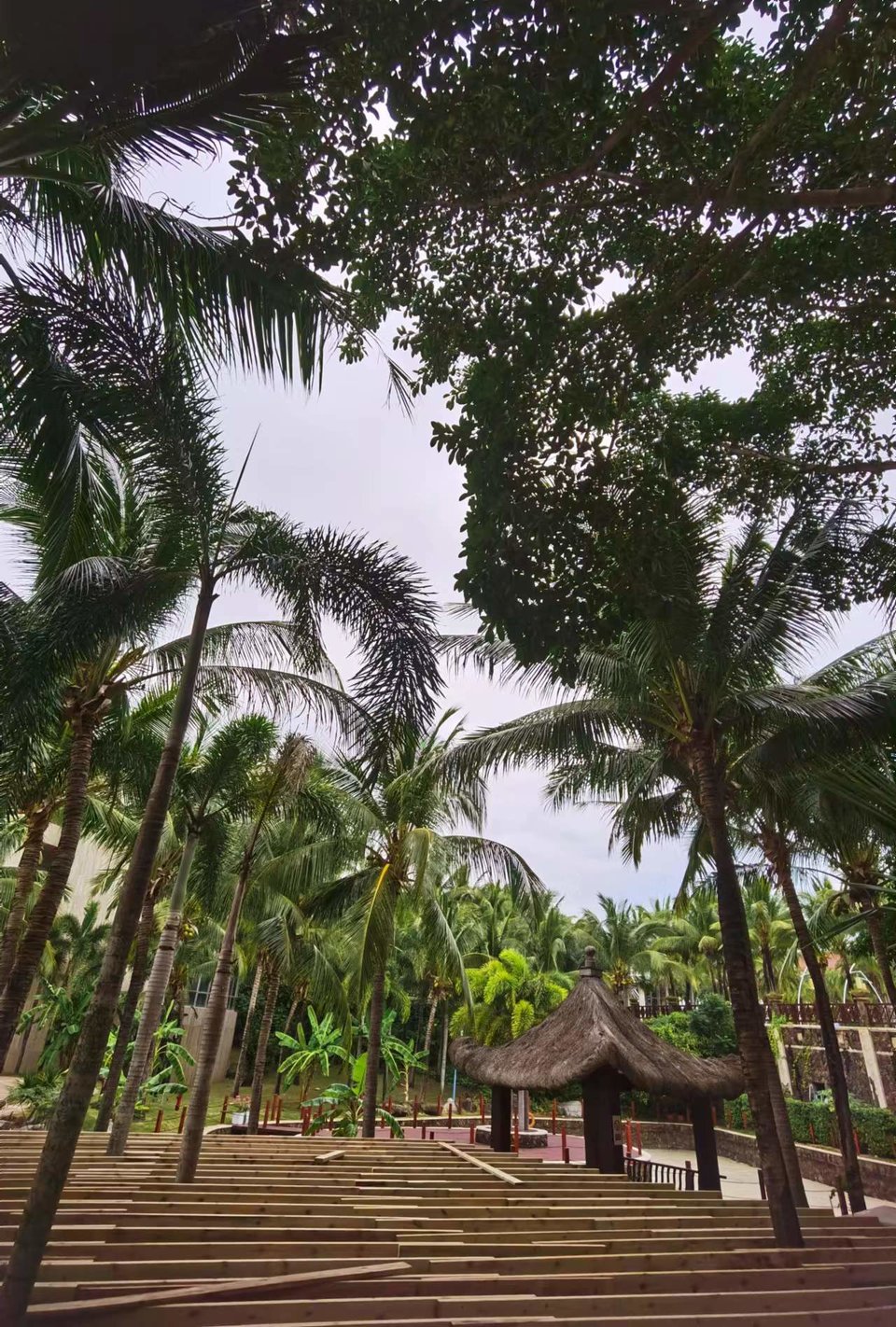 j2B39Pc98T7sA7ki2QmTrp_uf5LFhV0-EKs1r7-TYLwxLU3Pc50FEE_CKc4yXqrD