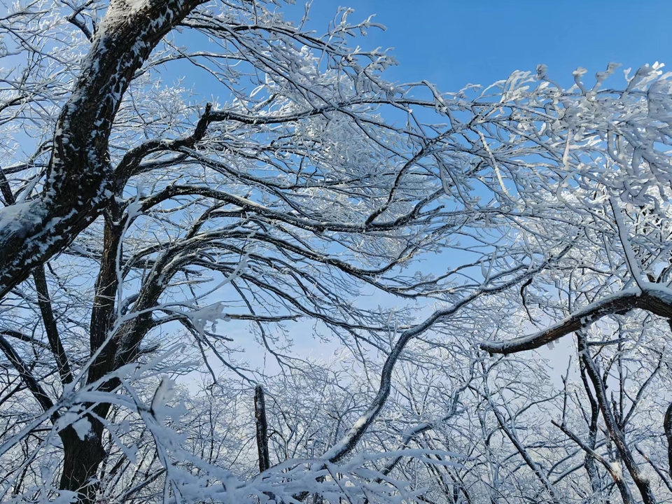 1a_2ObpNB_TmsoJksdunSlCm-5da5OKkNB2Xicw4HH0IsoqRhdzz3X8kZo6WSsqw