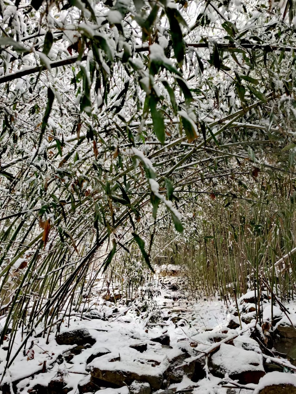 1a_2ObpNB_TmsoJksdunSrFtPQ_Tms8iz5O9d1ljbjjTMv46eO4VjmdKWAGfaV8O