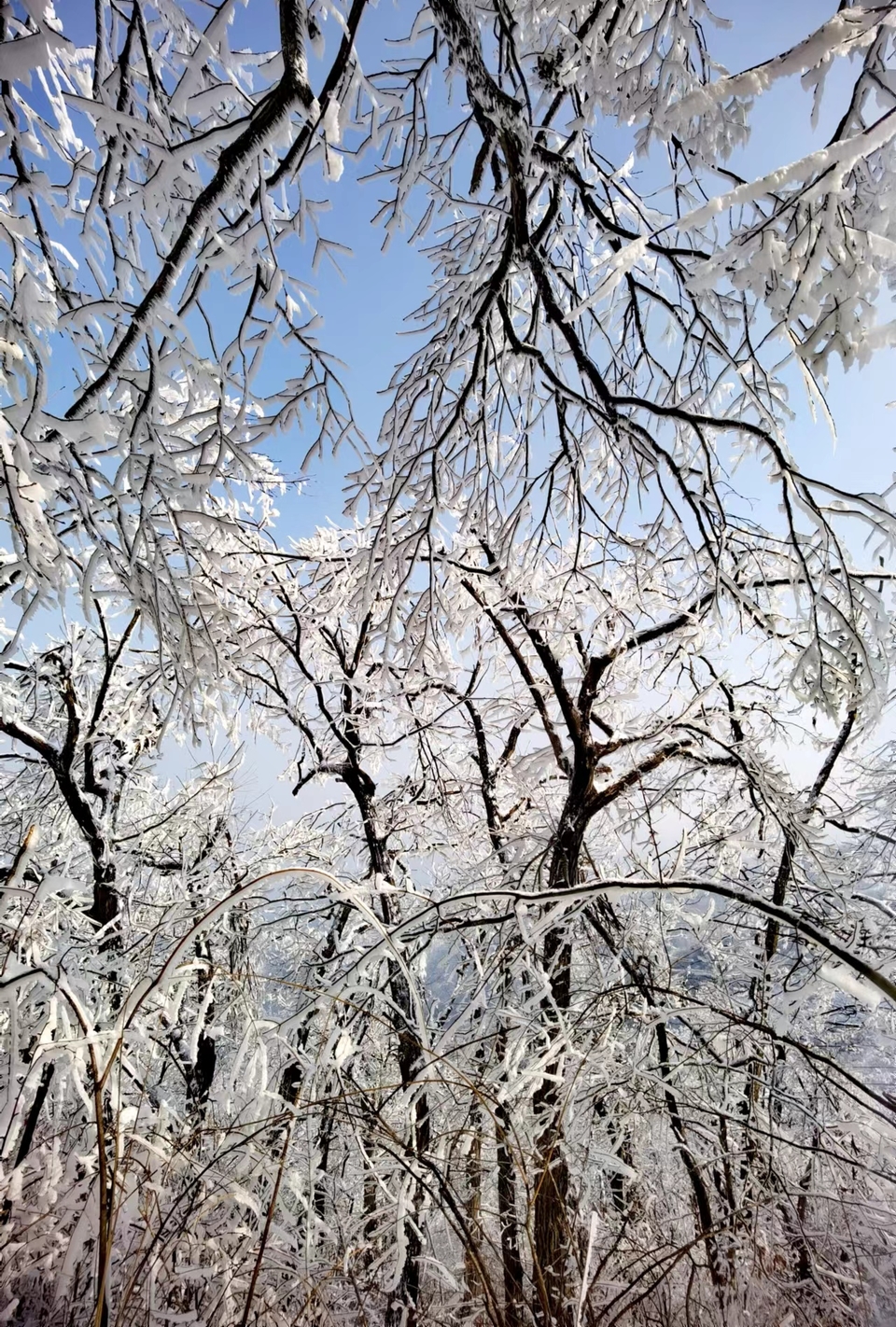 1a_2ObpNB_TmsoJksdunSo9tDtdj1NBYgUKSH3bAsMwZnGEWWx9bGKSUOdkNy0c7