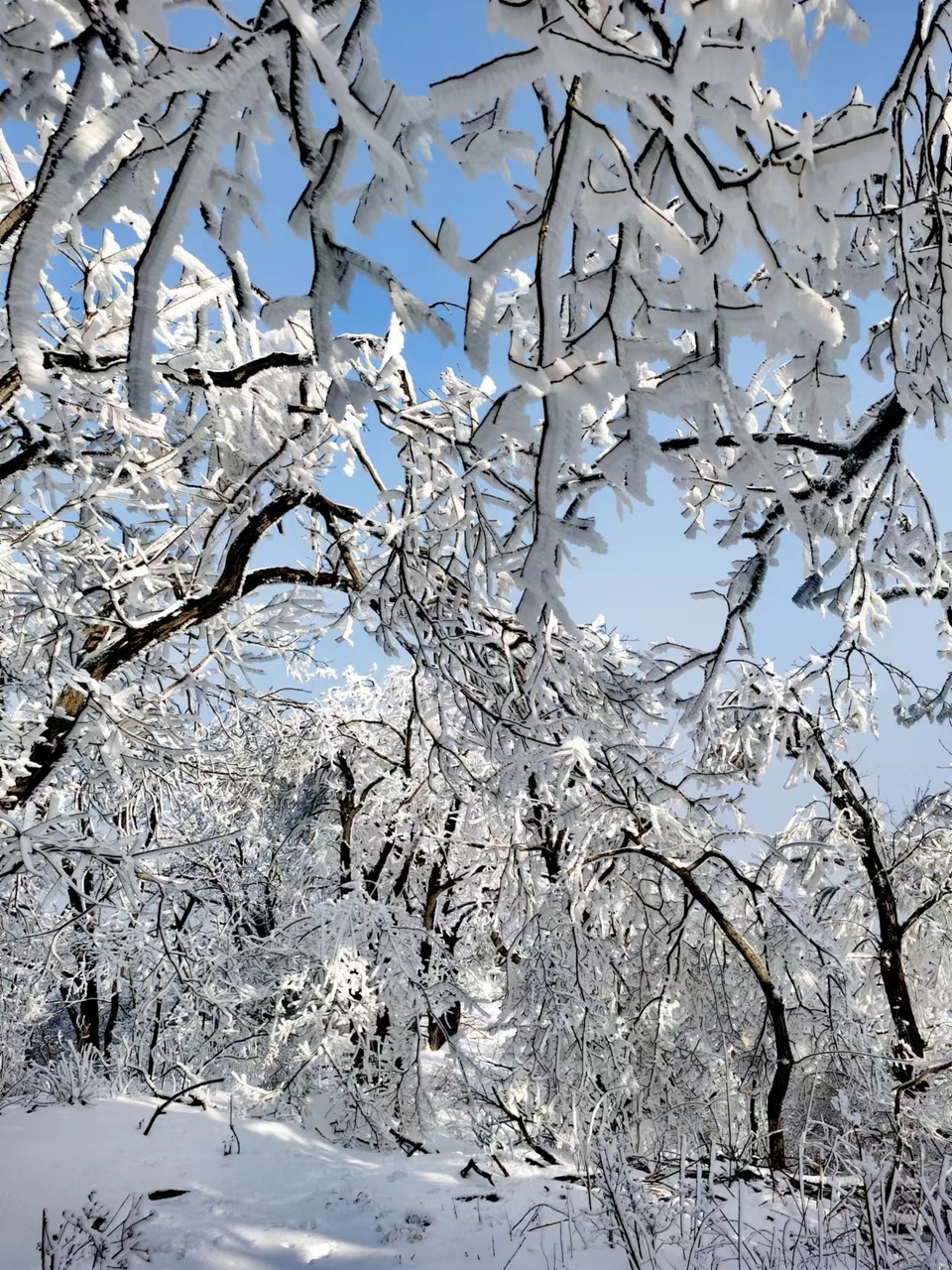 1a_2ObpNB_TmsoJksdunSiJPeGzvBwvDPkku8k52SxnzwylD14k5y2n_Cf-Qh506