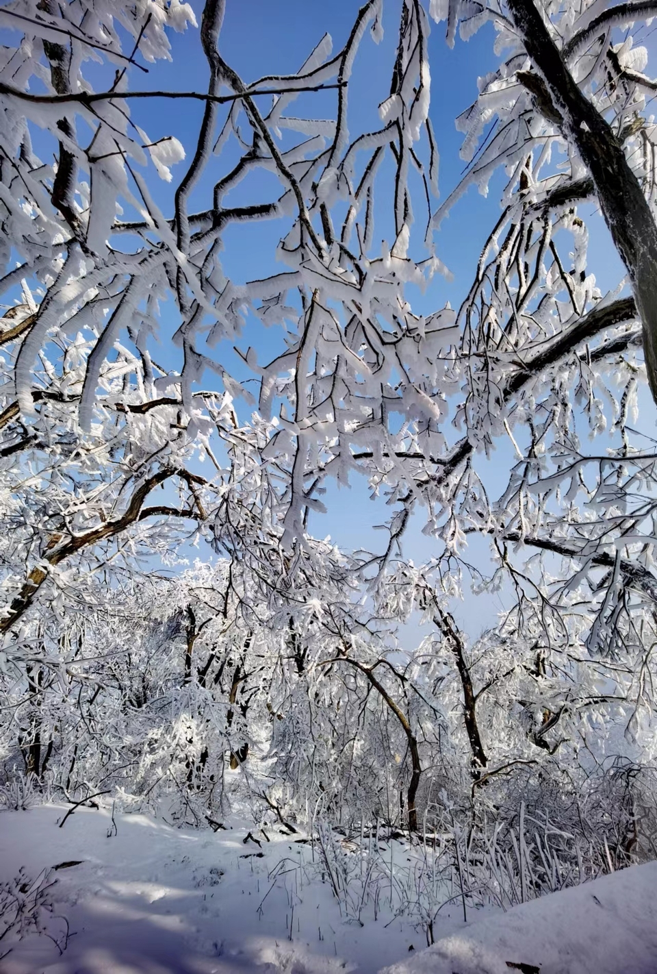 1a_2ObpNB_TmsoJksdunSsoP6QND7104t5Nf7mA4gtAIqx8ot51tp2y7MJrVe1s9