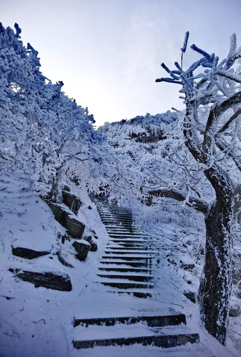 1a_2ObpNB_TmsoJksdunSqA32ZHV4T4LkIUV37ZxTniz_s_gOrO48UlAnccGap1f