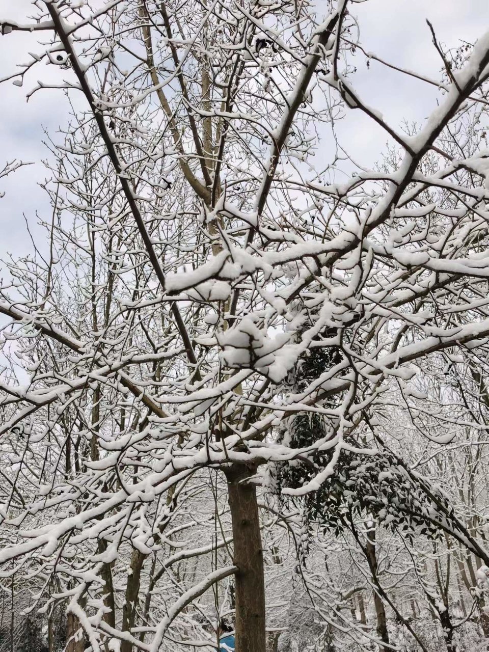 1a_2ObpNB_TmsoJksdunSiCm6CrJcsO7pa2FSLFg0rGpl_xt1u7AblQkWGZXGGeR