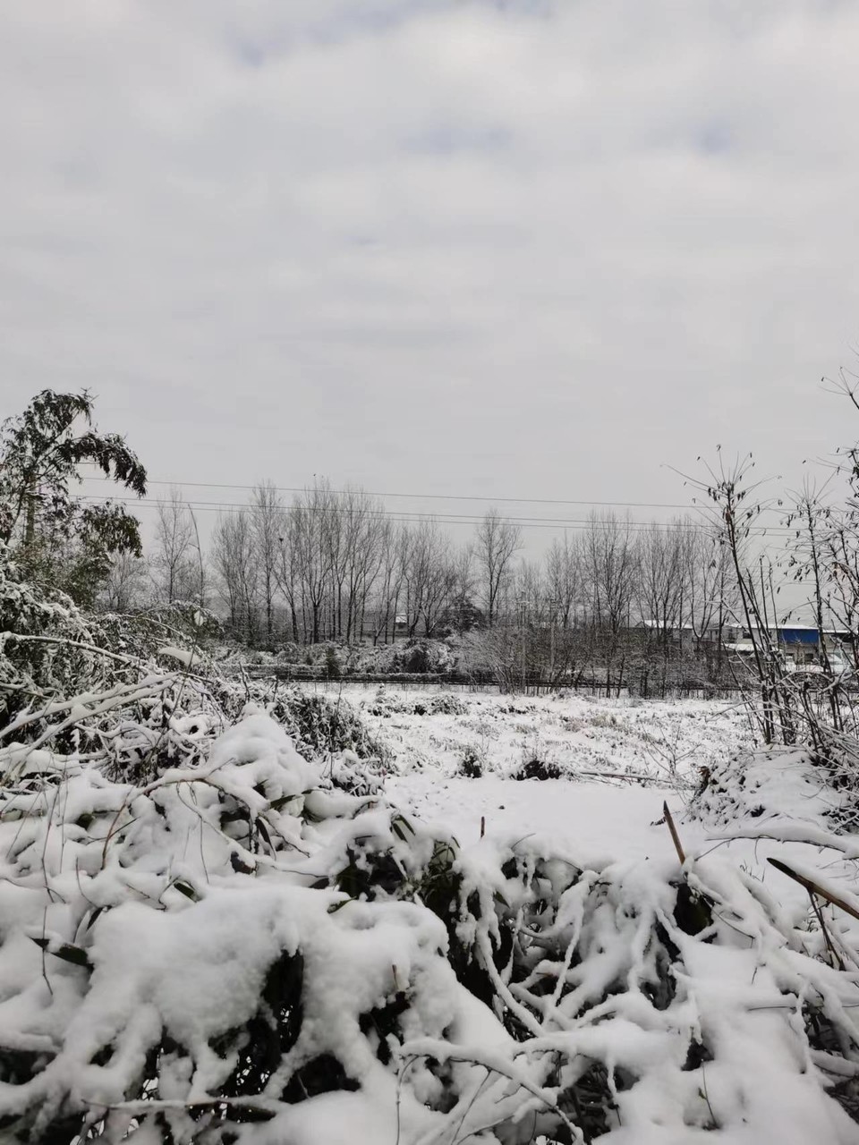 1a_2ObpNB_TmsoJksdunSrCYqjs92D_z57jmzpriO5SWqSoJQrg9OfU1OdOhq5CZ