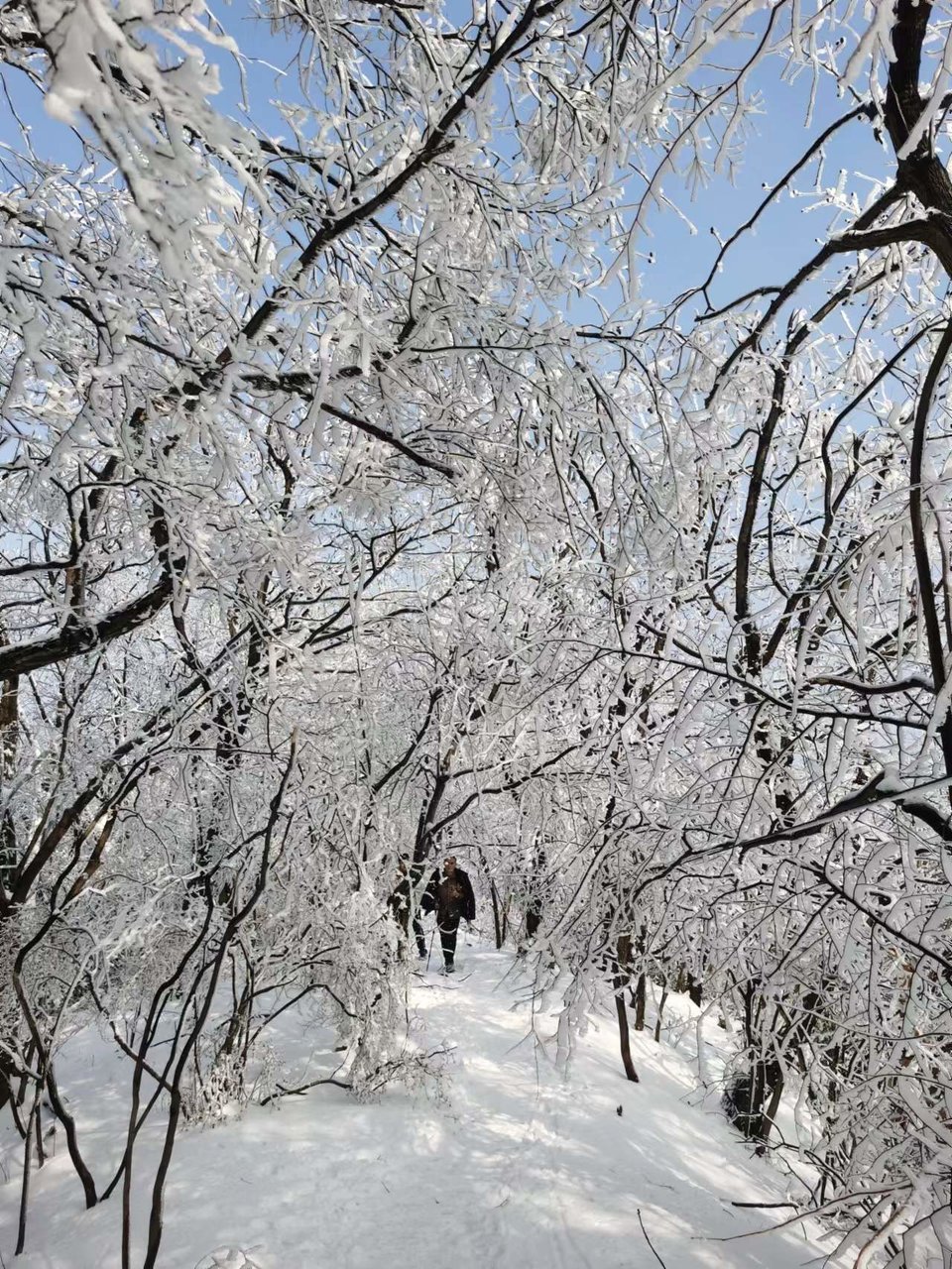 1a_2ObpNB_TmsoJksdunSmGRKtTn_HUOvs9tx_vYQ8sIt9R8JU0VFlvkbfioca9b