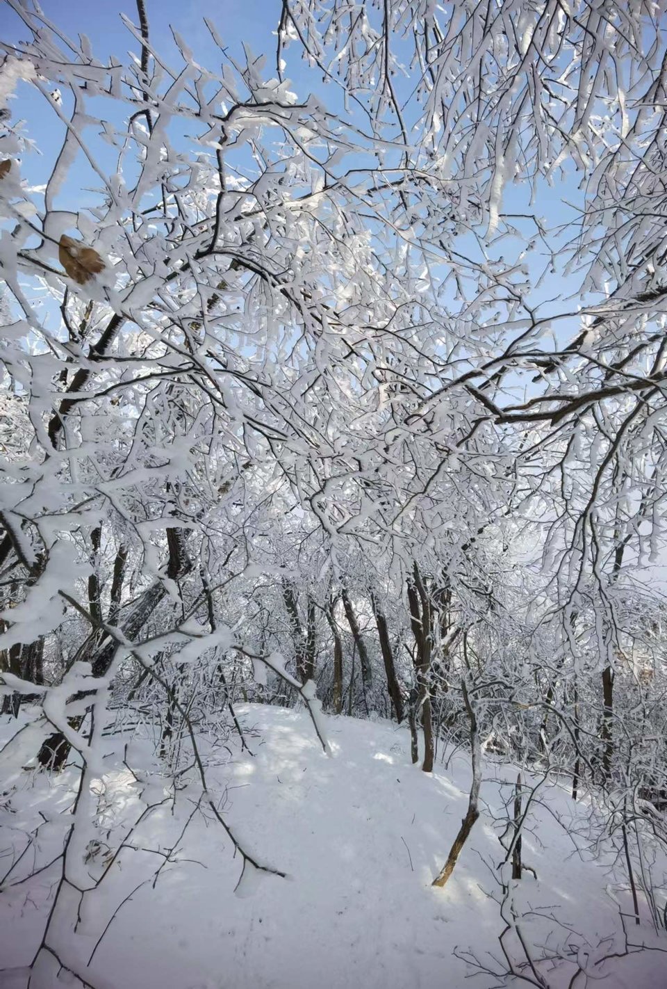 1a_2ObpNB_TmsoJksdunSmLCmsj7UtGGJW2S4xFC0S4824HSCHMGQawGp_quW7UM