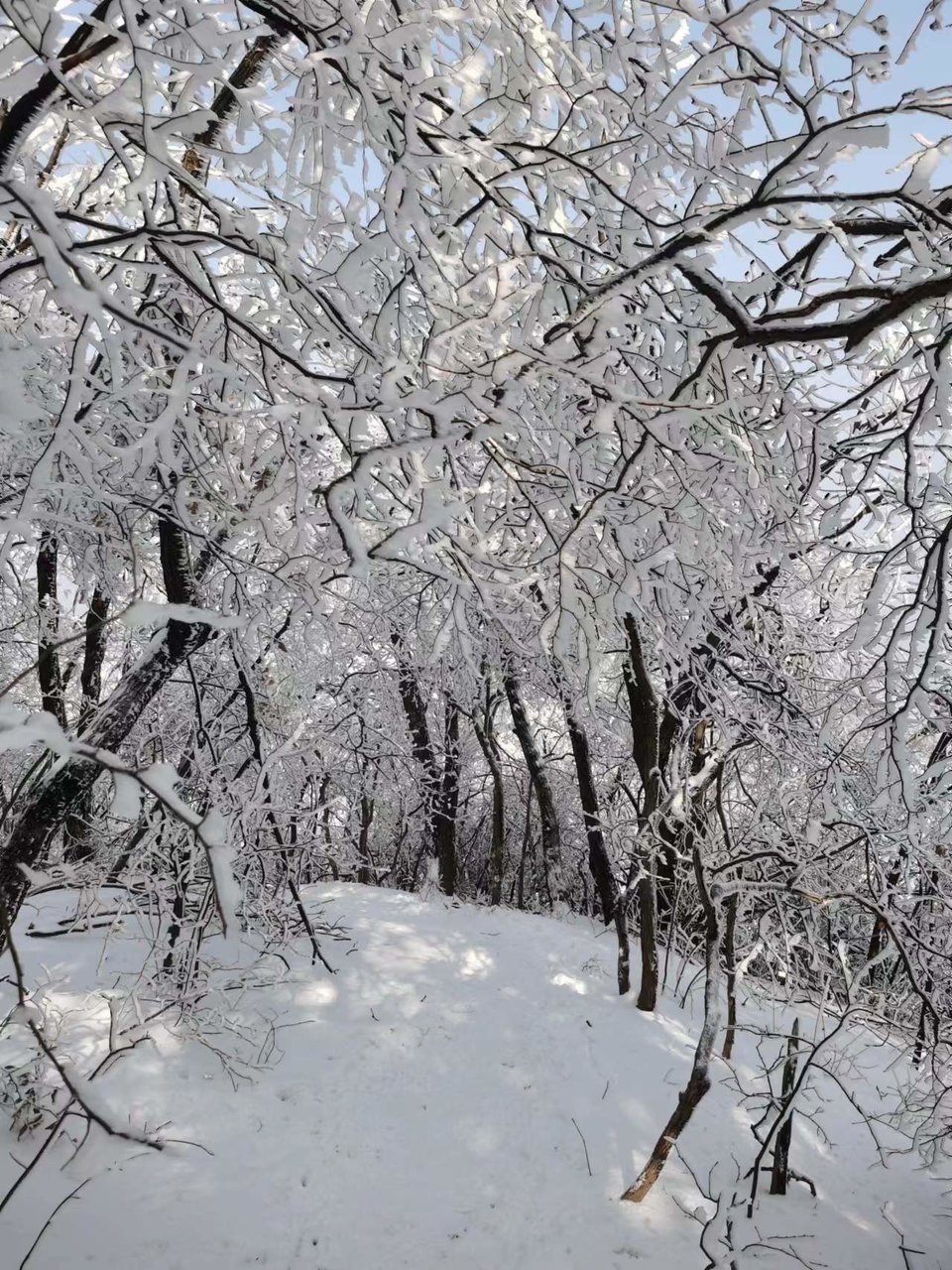 1a_2ObpNB_TmsoJksdunShLaRLDZtlgRDpsVkZ68HcBtOqm9LZJNgcu8Mn1o9dTt