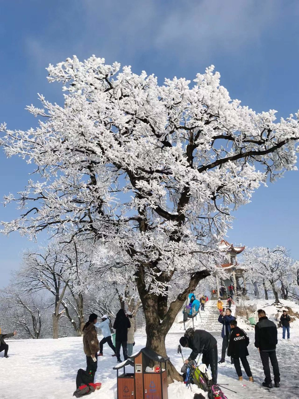 1a_2ObpNB_TmsoJksdunSqXcavbgclbu7lKIX0g2_1FxRS0tPaqKdolS4rqzh7CW