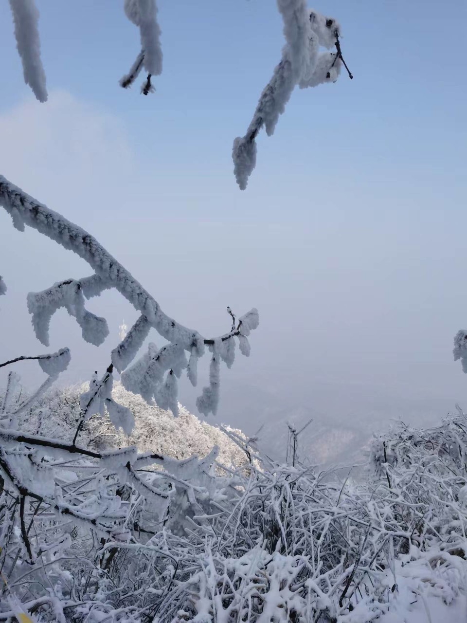 1a_2ObpNB_TmsoJksdunSss8f9WknQZSsy2RmeHTIzTJR4MVWLwzndKJsGiheGXX