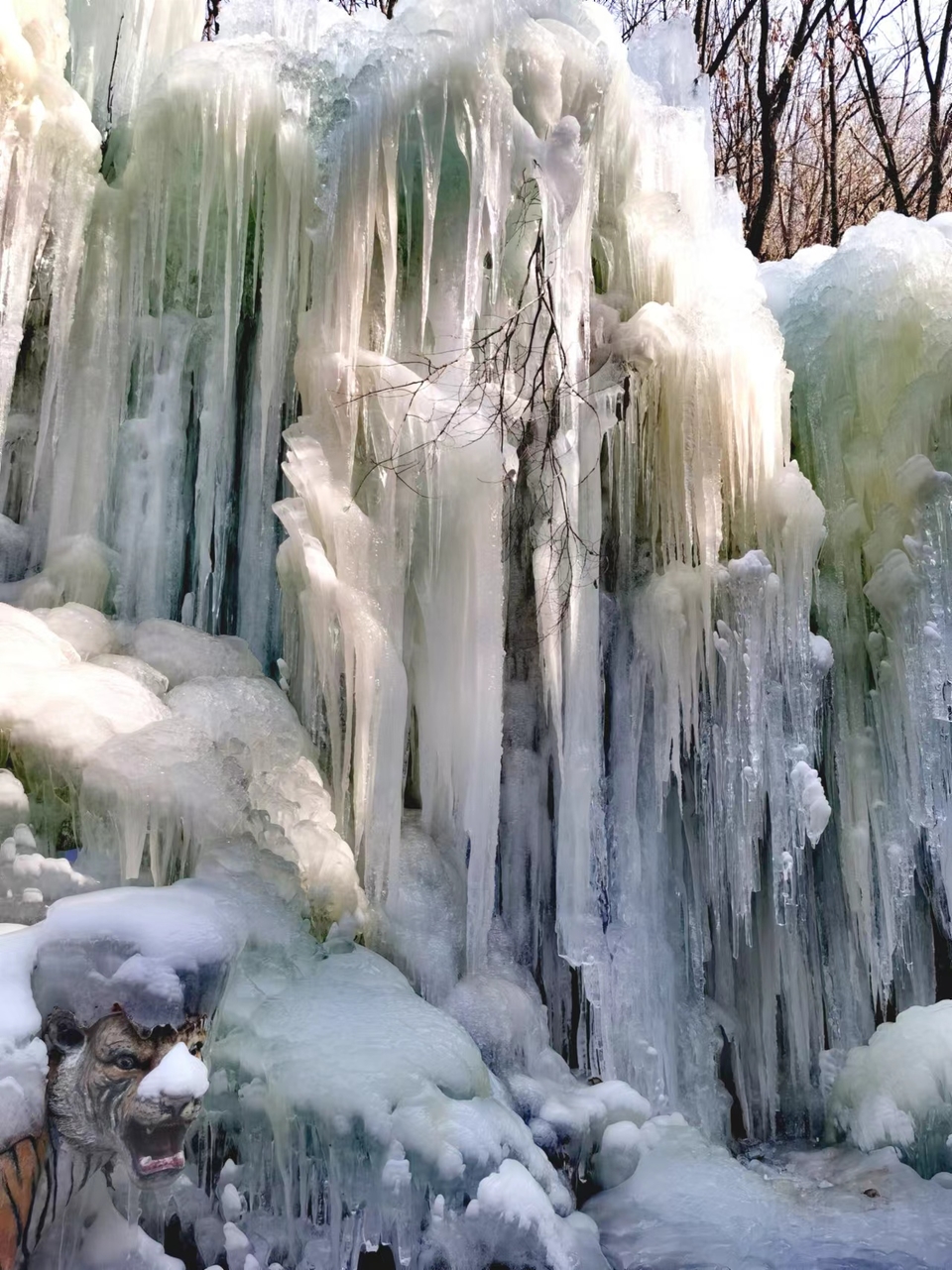 EFiB0NLppLa8_324xGUHoy3HNyNdoQb7qfwJos4y8ReadkJEROrKtksyS1FlHyrR