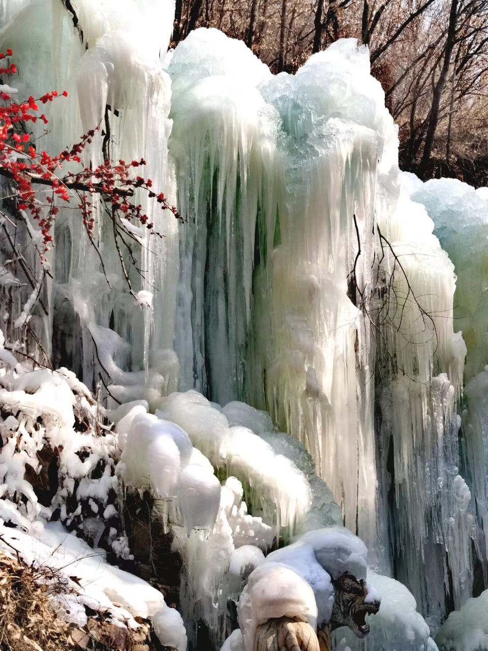 EFiB0NLppLa8_324xGUHo96FYt7FFFLGvKVeUkdjMlSBanO3MZsNQF34ddv1AjKk