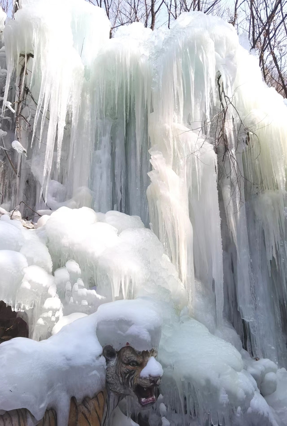 EFiB0NLppLa8_324xGUHoxqBpp0Fwp_4TOHqn8juxAV6-mBFzG_zJ_kqsDwi0vVS