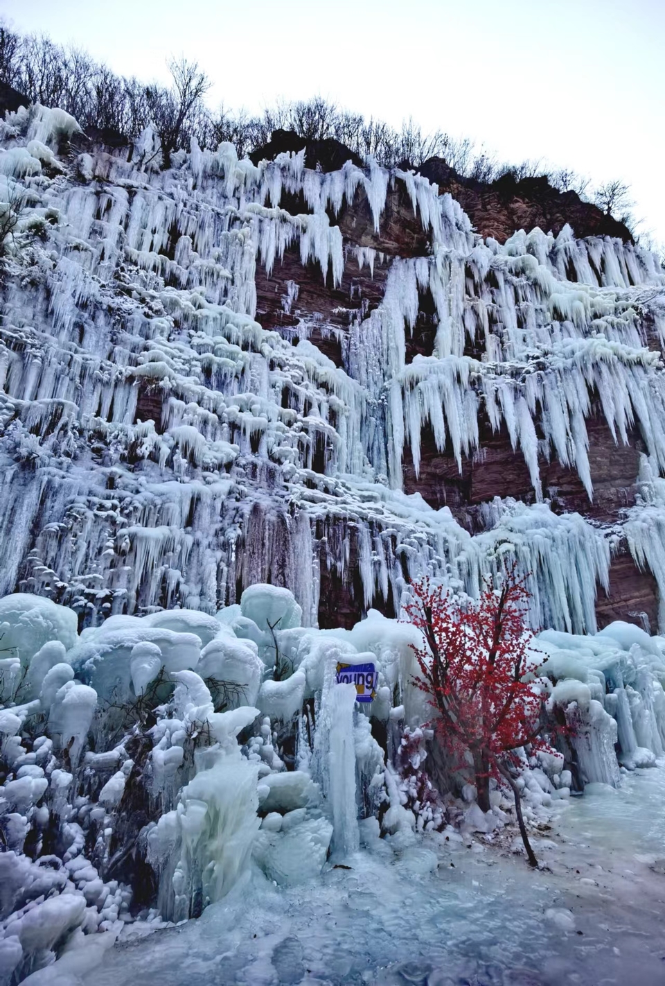 EFiB0NLppLa8_324xGUHo_9J8Y8_FBs9RZZgwPIVpcl_pG1_zUCBLTa2r3_qSJV5