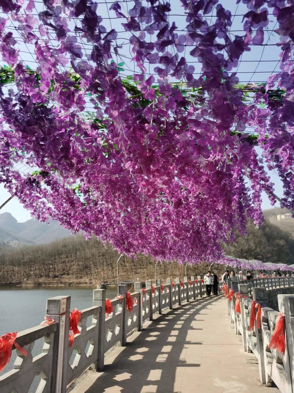 EFiB0NLppLa8_324xGUHo9q_2_YJPTIXSPhv-gcTk4koEG7eCbSxb-DKBeO75RFB