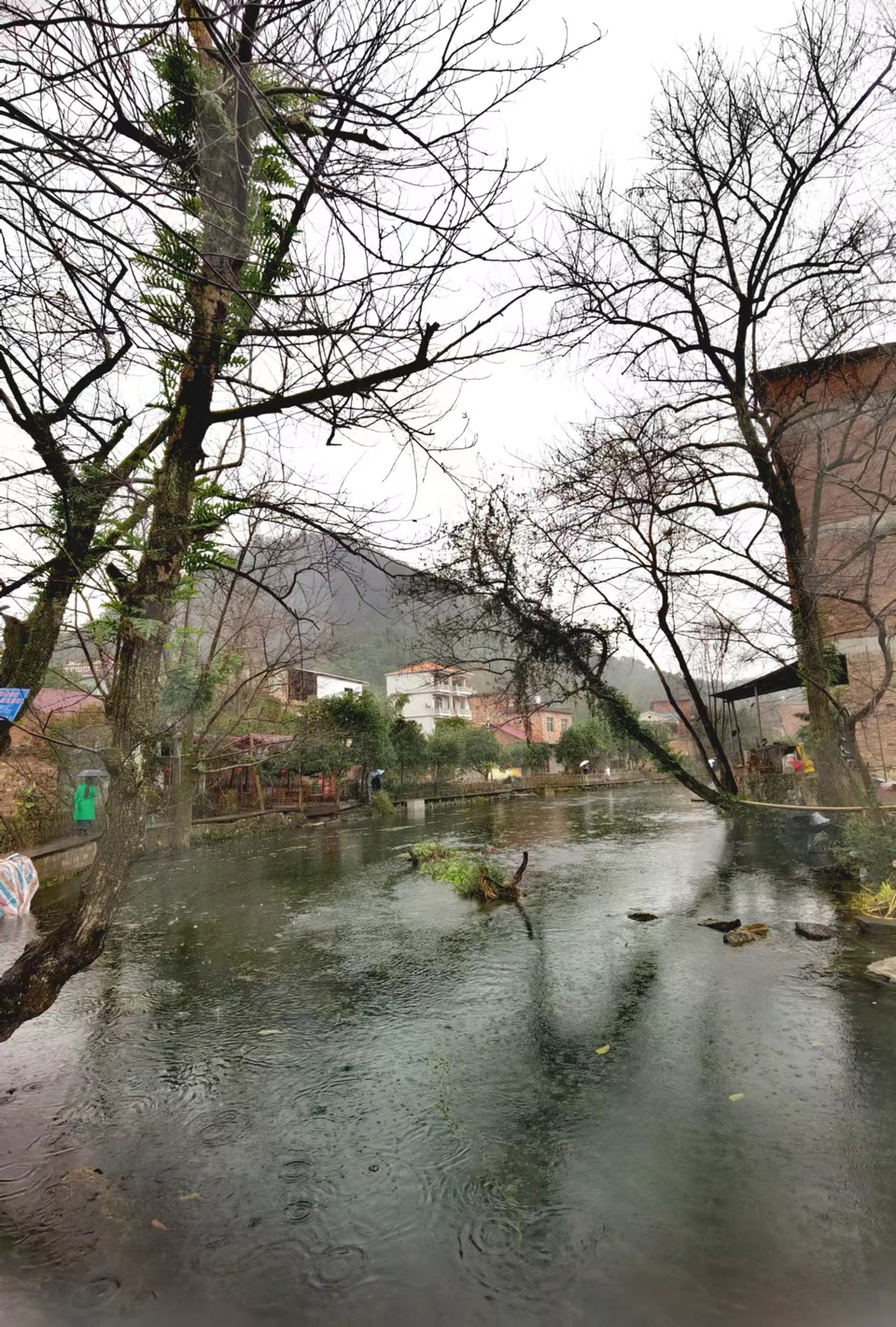 -ZjX2M0n-O3odaXlQDN703eZj5r6Da0at-76iz961GNdH4kR7ySxRKSxRjINM4CW