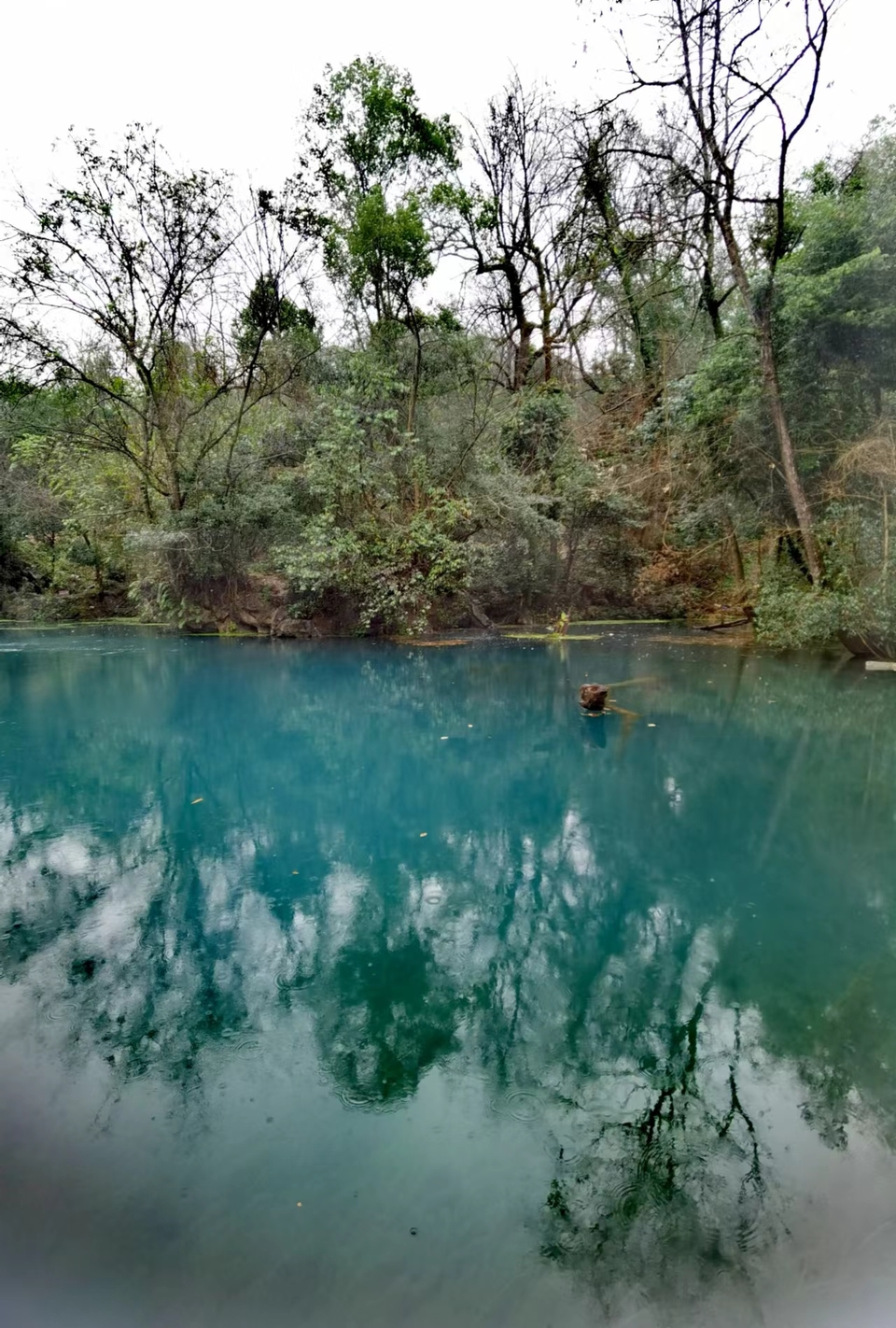 -ZjX2M0n-O3odaXlQDN703B-b_fwvmrCqv8IM3bvQ__y2GCgKNAqbqx9K2B_dJgr