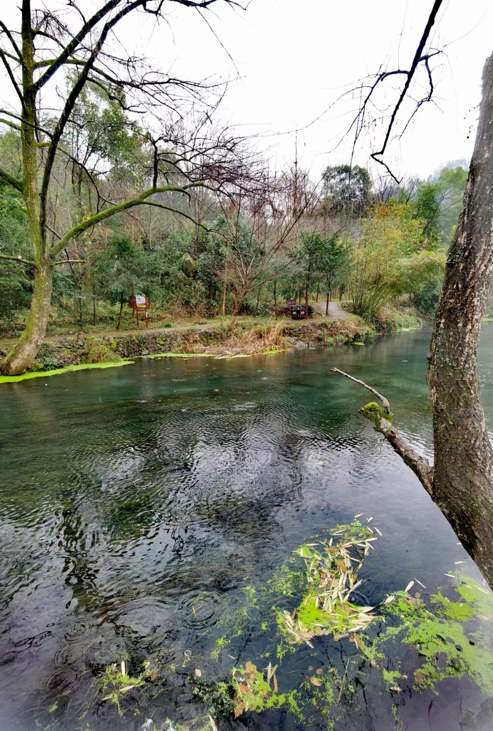 -ZjX2M0n-O3odaXlQDN704cVkKtJUo10X7PXOMFavXzNnBeoQFBZYBmJTHUithGs