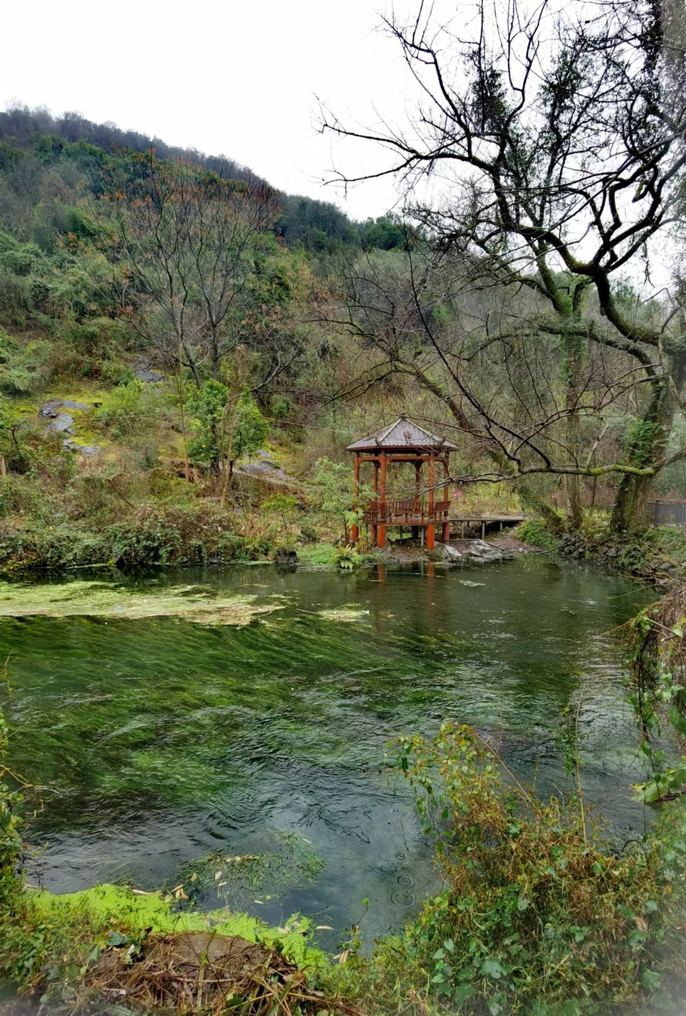 -ZjX2M0n-O3odaXlQDN707rjdohaz4GRPXLgiCJihWtTNQf6rQZaoMKmx61EL5a5