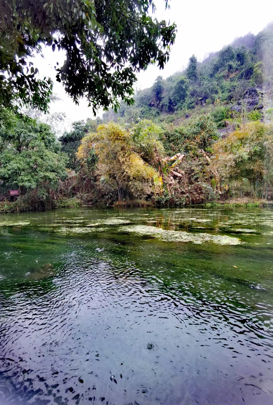 -ZjX2M0n-O3odaXlQDN70wxGHhbeX89P1AvpoY8qnYcjGUjWtfy5pd0fcwiqIS-W