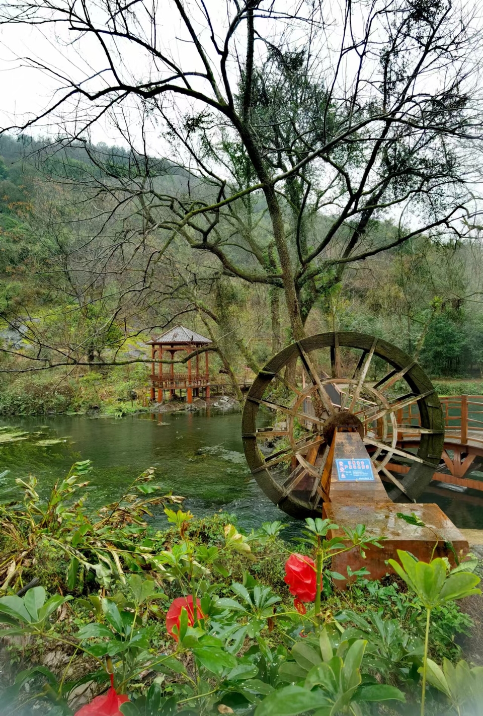 -ZjX2M0n-O3odaXlQDN702NcLWqaT9S0ytyGFEvaMKy1ZXO4_-qyOD9Fp6JI8uGi