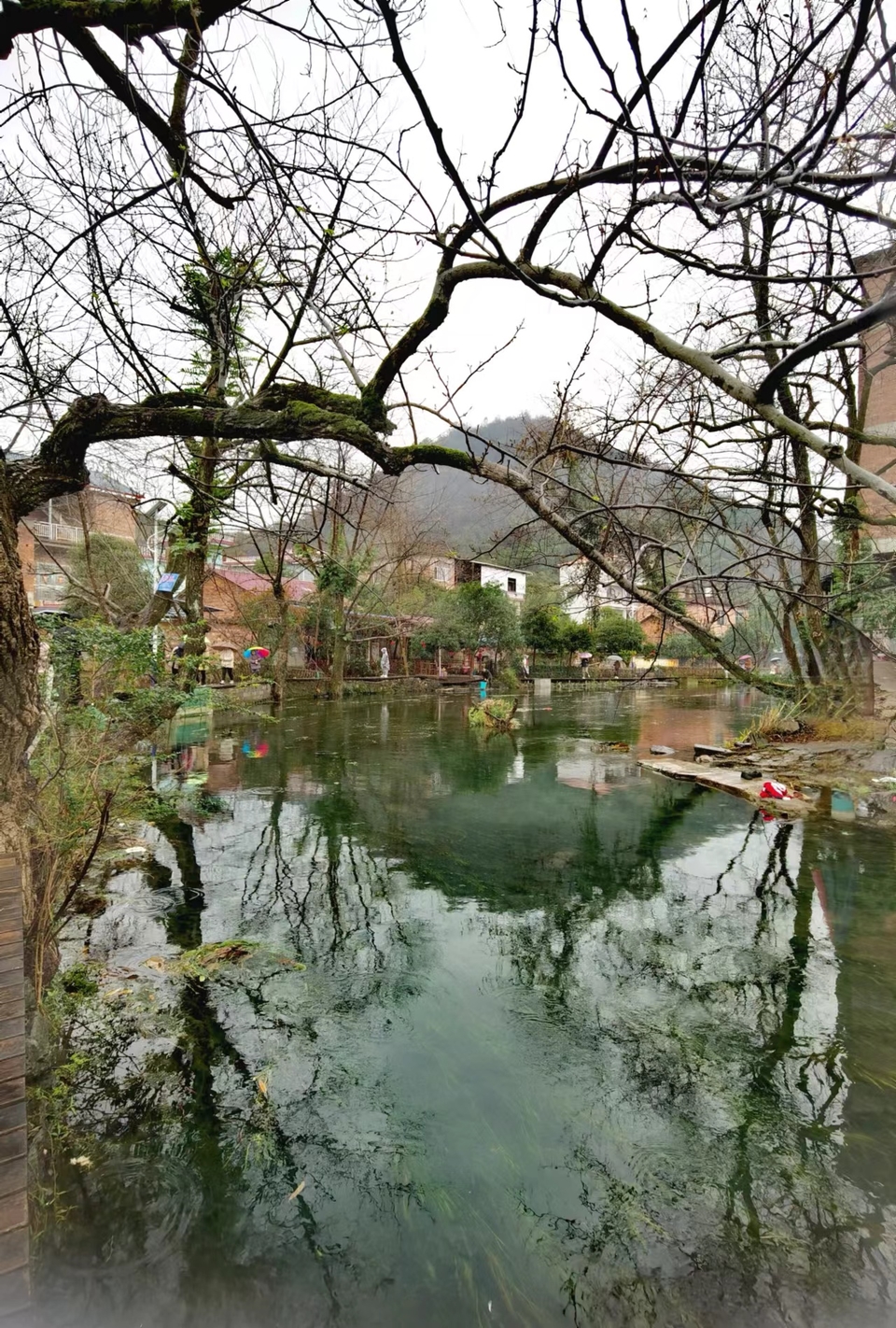 -ZjX2M0n-O3odaXlQDN706tipCbbvWxVSs4aTC2a4ENMoD2S8e1OVUGuma-fbjPi