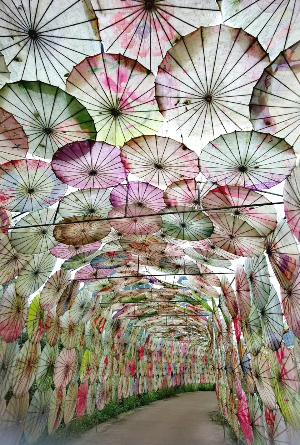 -ZjX2M0n-O3odaXlQDN70wuj6VCgkyJe7Am4Q-G5ge04tP2o2oNek64fmvgde_D4