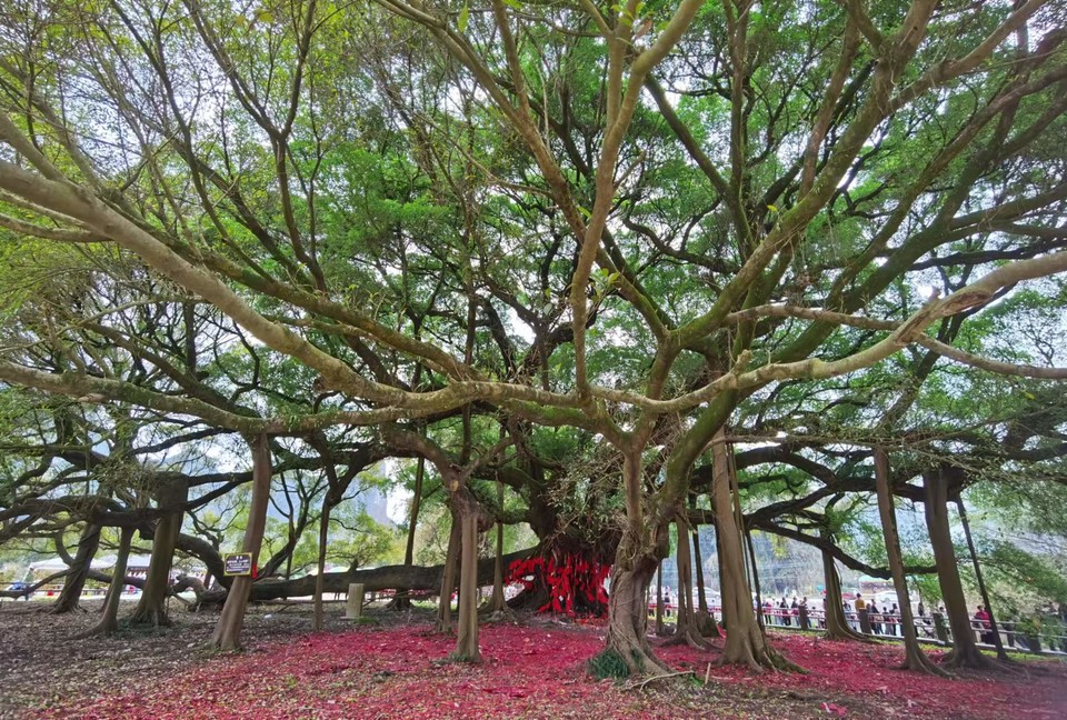 -ZjX2M0n-O3odaXlQDN709hQgxdHzOvh01y0jeslkM4WxcjRz4tOJGSv3aKR45zA