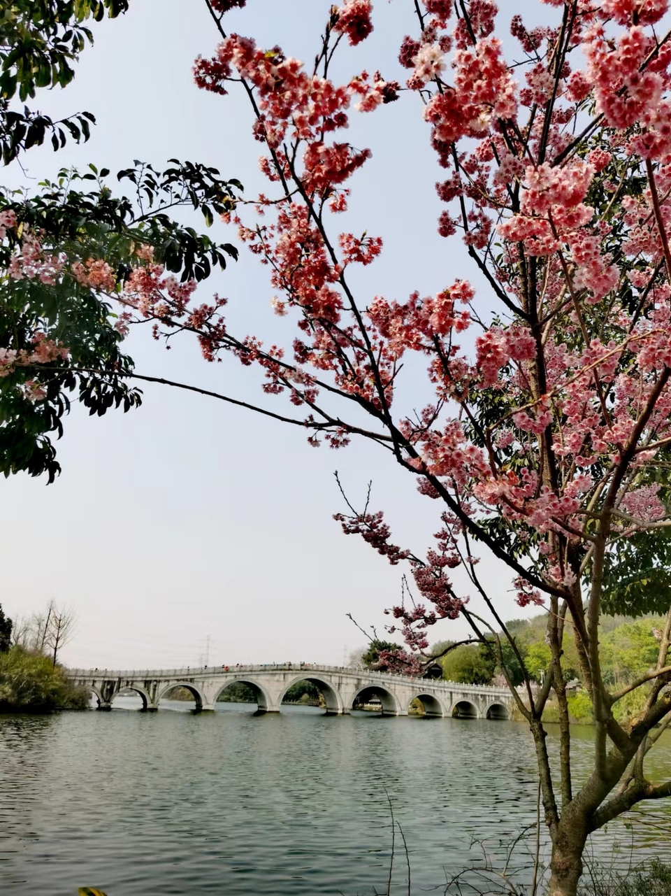 -ZjX2M0n-O3odaXlQDN7076B4vNSagcXQXw4r_eGbkHVyHzZ0fSGC6iLYPyuiF1G