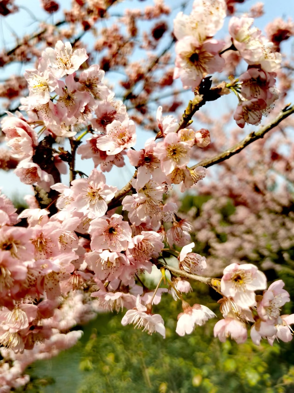 -ZjX2M0n-O3odaXlQDN708oFKwKbaqzVL-F61dqPJl8lZzw0Y0n3NBhhw1N-KL1r