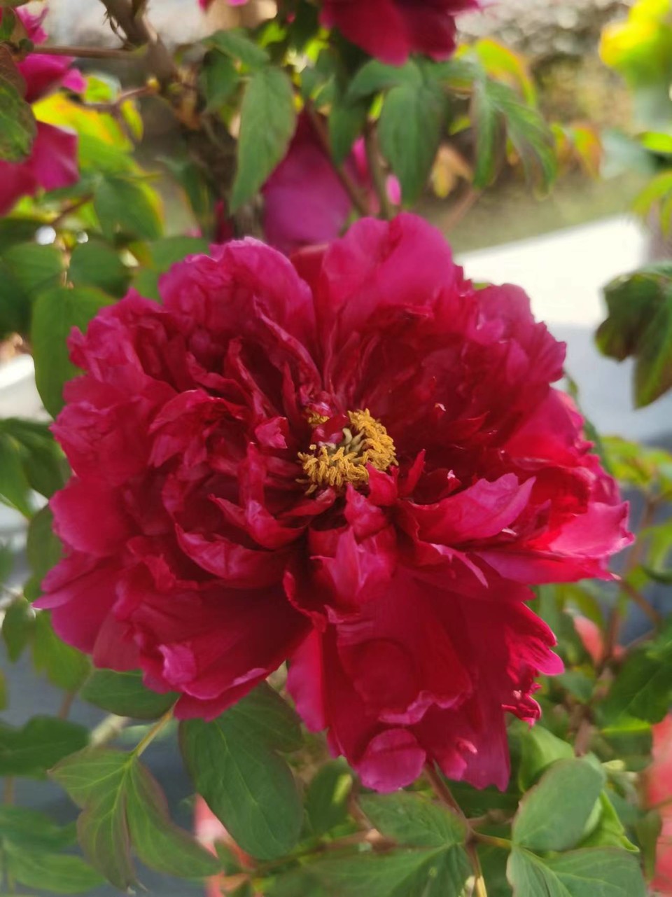 Ax-gwfuXqxZnbqlJodlJNHRrUfUHR19FJjBKnEqeCQ2geg0lsAi5yS8bxrA31nPM