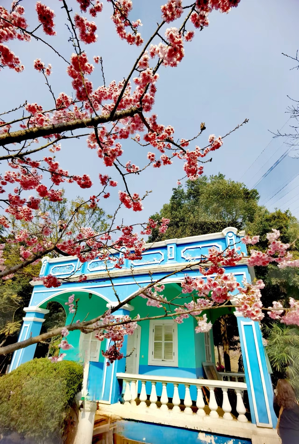 w1CBV-GaOzLK7bycB2XKfid42xB2JBWYf4axdpfAoDeGS9m3FlvbtpEjonmT8T39