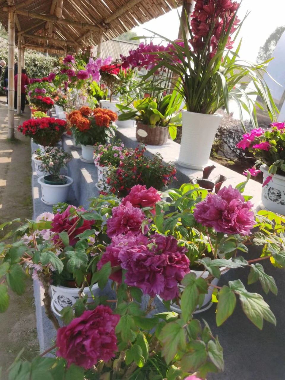 w1CBV-GaOzLK7bycB2XKfqqCZLUOt9P99tYfvQU18i5kJDHnLfJpN7NwF06-XCo0