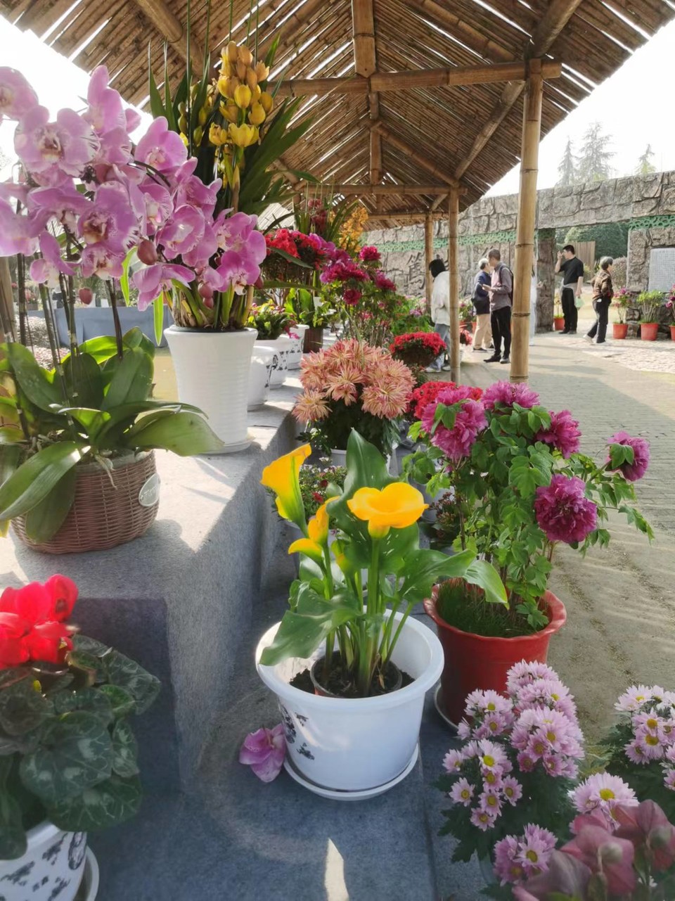 w1CBV-GaOzLK7bycB2XKfs5kteEzQidzgz1vJ0F-s6n5o3HrJHRZZi2u6_bPGStc