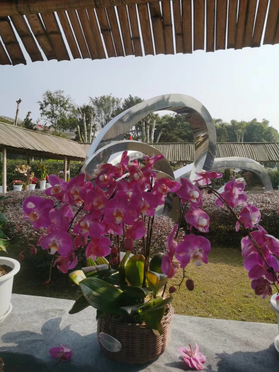 w1CBV-GaOzLK7bycB2XKflC5rwExX21rvVH_S-T4RMdGjvbcExQ5YLmOu4a73C4g