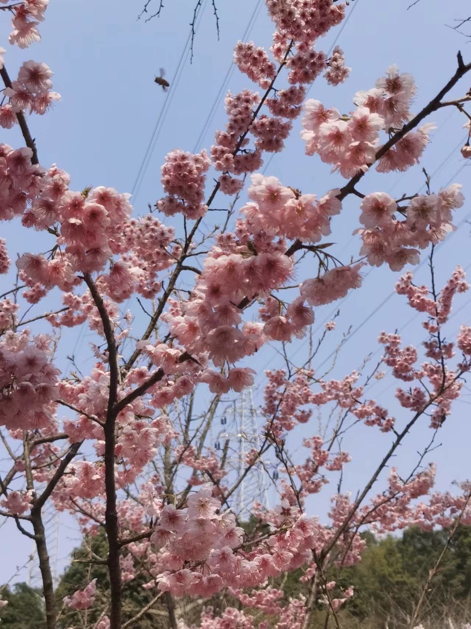 w1CBV-GaOzLK7bycB2XKfonKwBRzMft-2RX2WCO1ycTp523tGo8lFuNKUlSw37kc