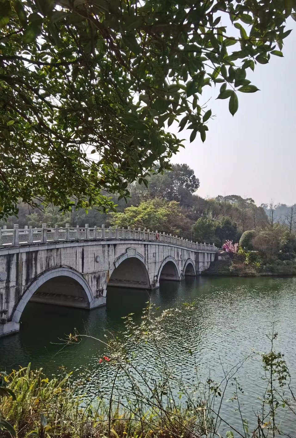 w1CBV-GaOzLK7bycB2XKfghJc8t05cAt8JDITucwcPkENmjeS137RFHQkJUeQHIY