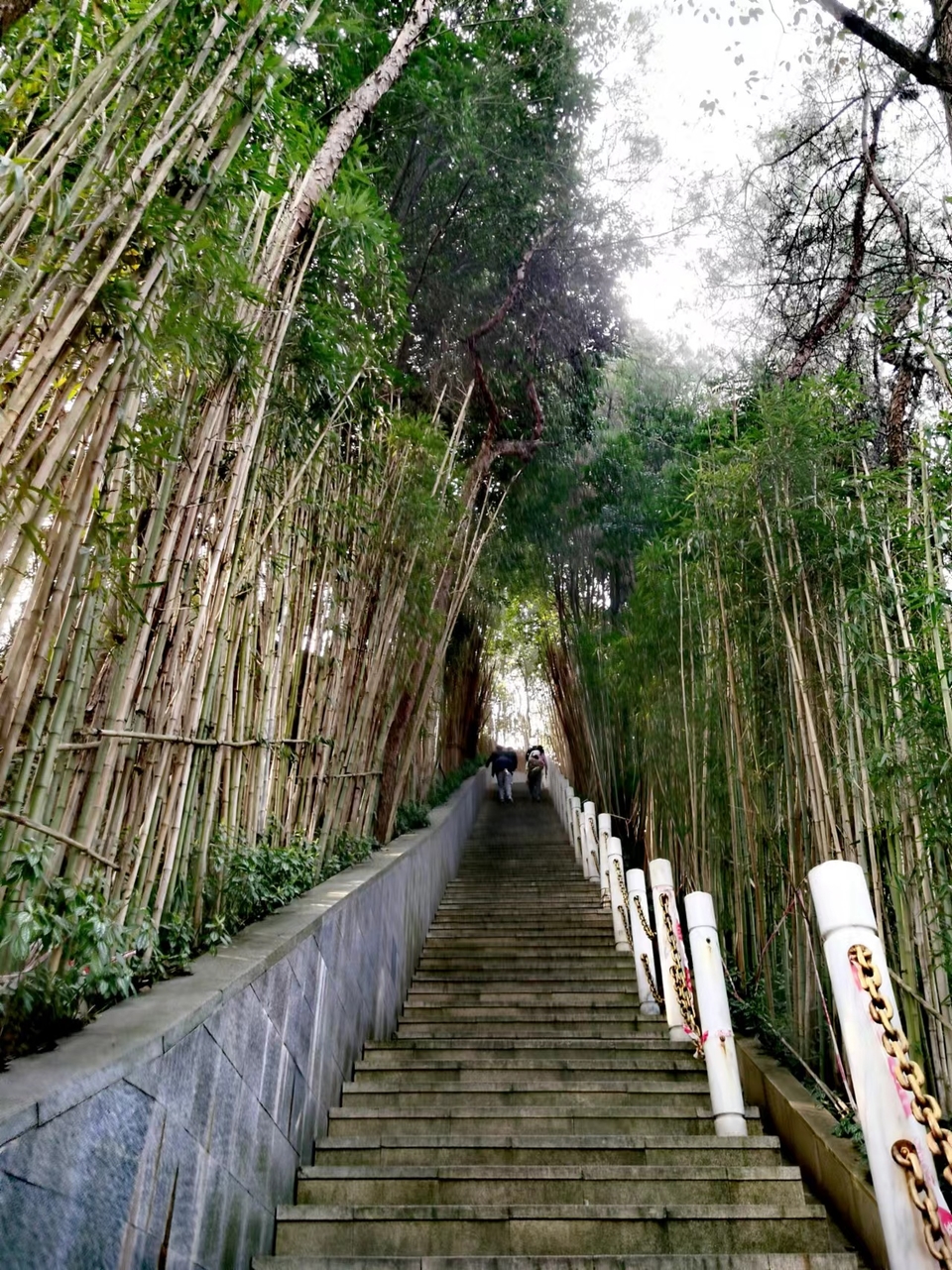 w1CBV-GaOzLK7bycB2XKfgIOmbUXgHK3YMNdBsnFNKAXwEAYYNtt2Eay-WMMGqxr