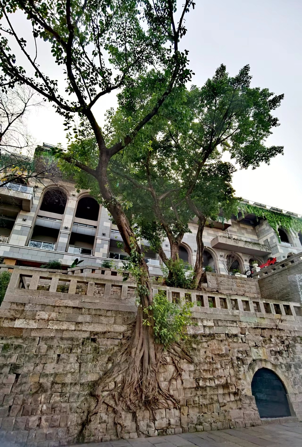 w1CBV-GaOzLK7bycB2XKfttKoYjQU4sJmY5vPbbkDprlsuITPlX5gEBx9WH841i9