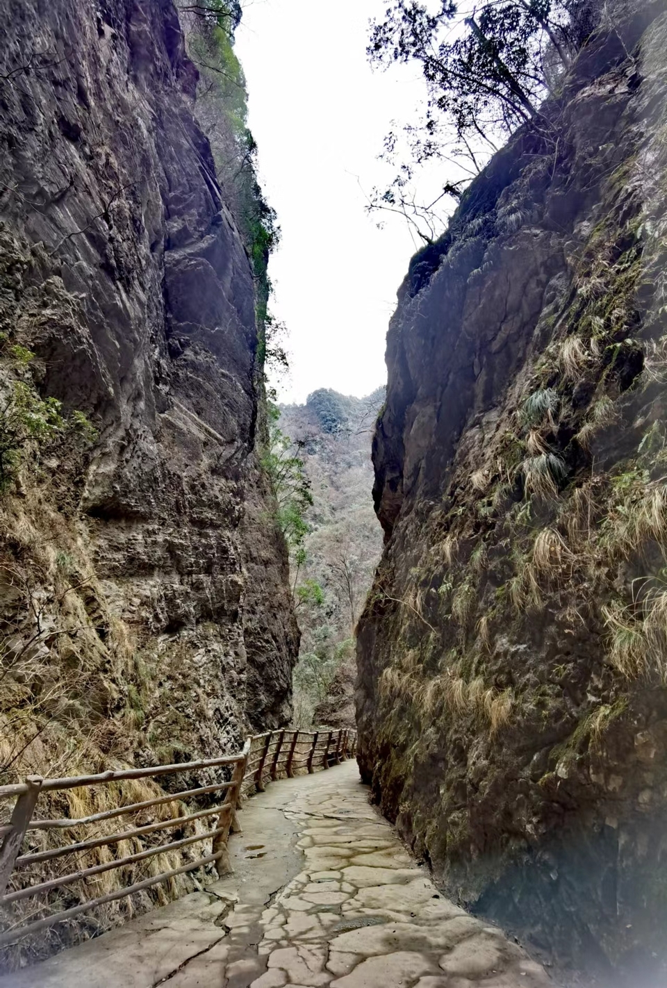 0NJmjEARE-go4gR9ck4V9zpb7SrmBd1saIO9s6U1jL-3OIhsnqlucRsHGBn5-zI_