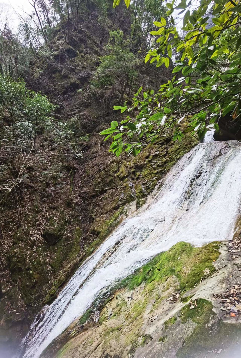 0NJmjEARE-go4gR9ck4V95txfS7rwv9ObIneEmQgmD_1WOX0BlntEqkZCj2m1wzx