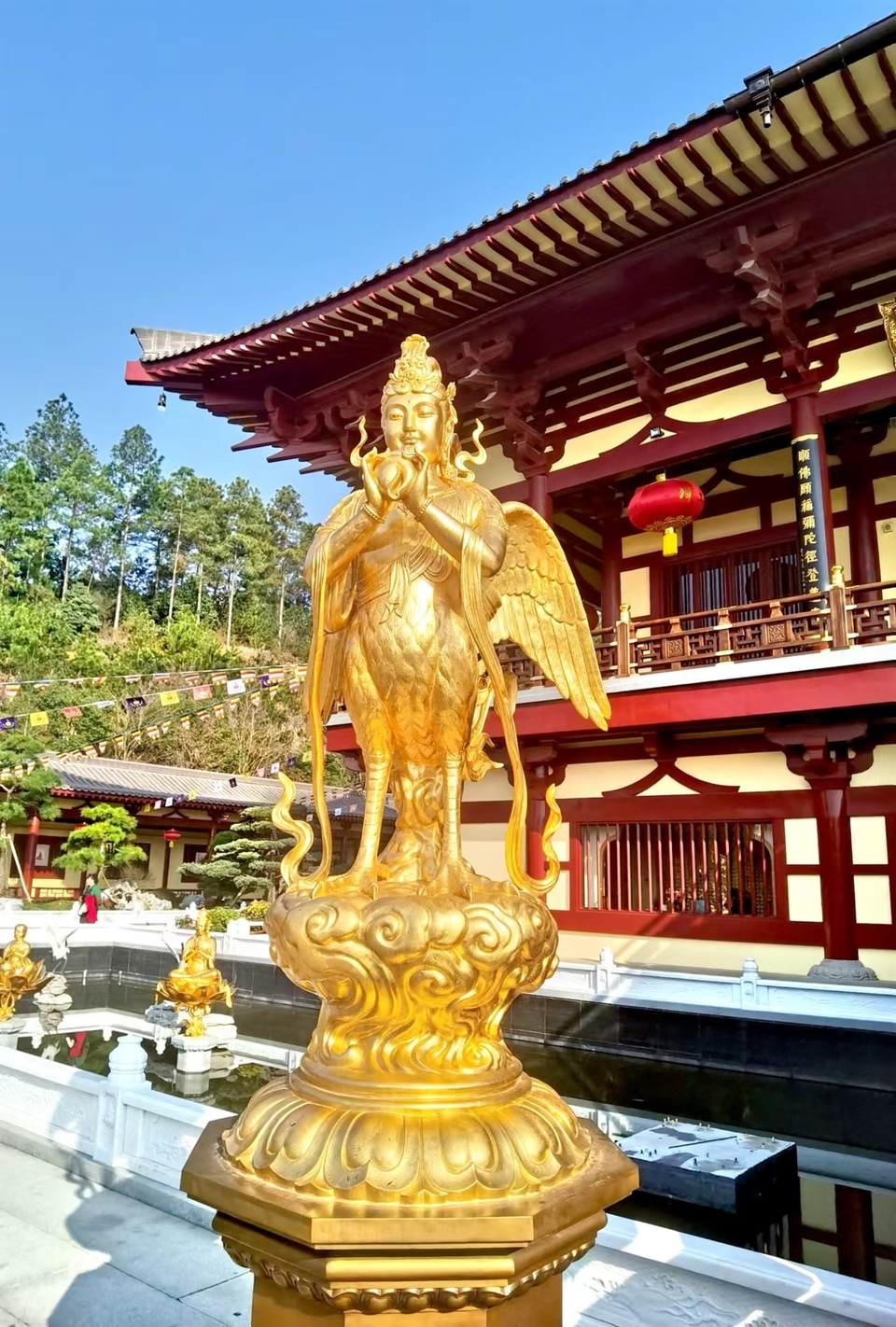 4qaj0HF3xWXom-sdkO51bZf56VjwlKHZnTz-LO1QAf8t4yCwlY1UChcdPxh6ju0d