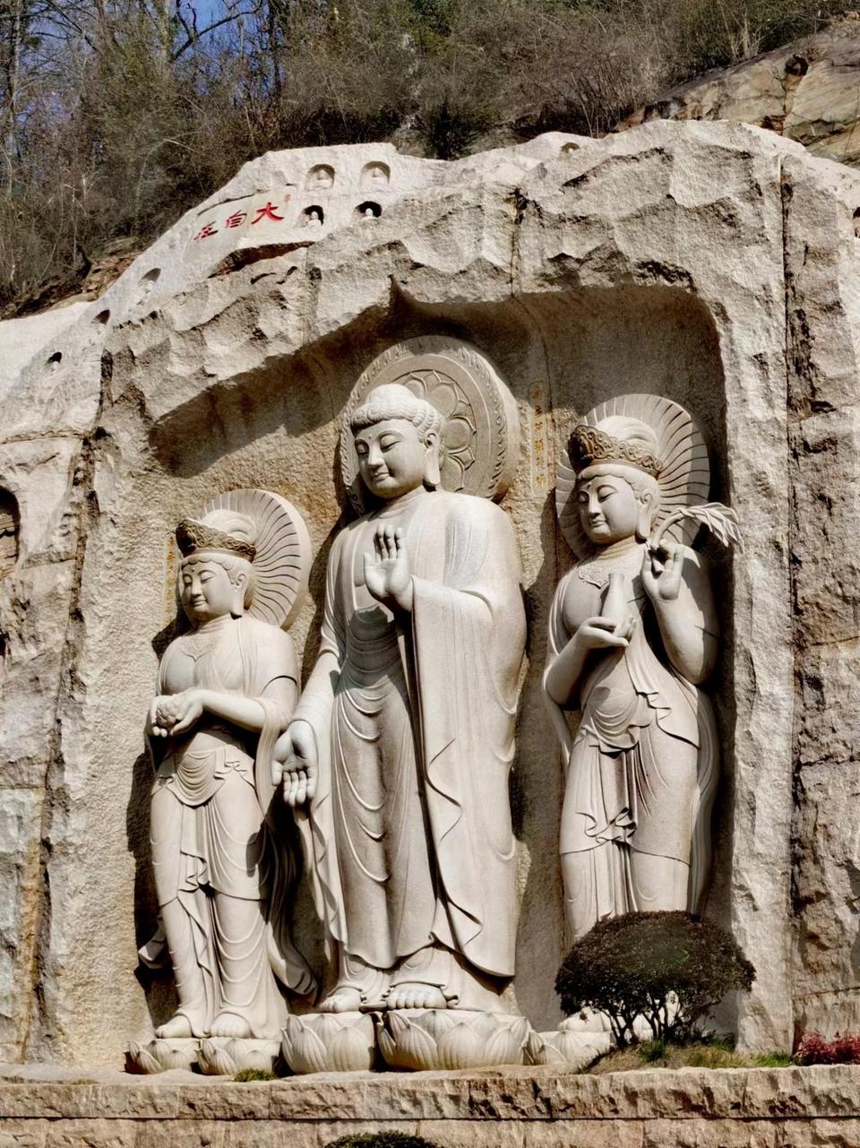 4qaj0HF3xWXom-sdkO51bU8haCBi6kLDySgrupCE9U5XSfzEFX1UN-8TRvnds3v7