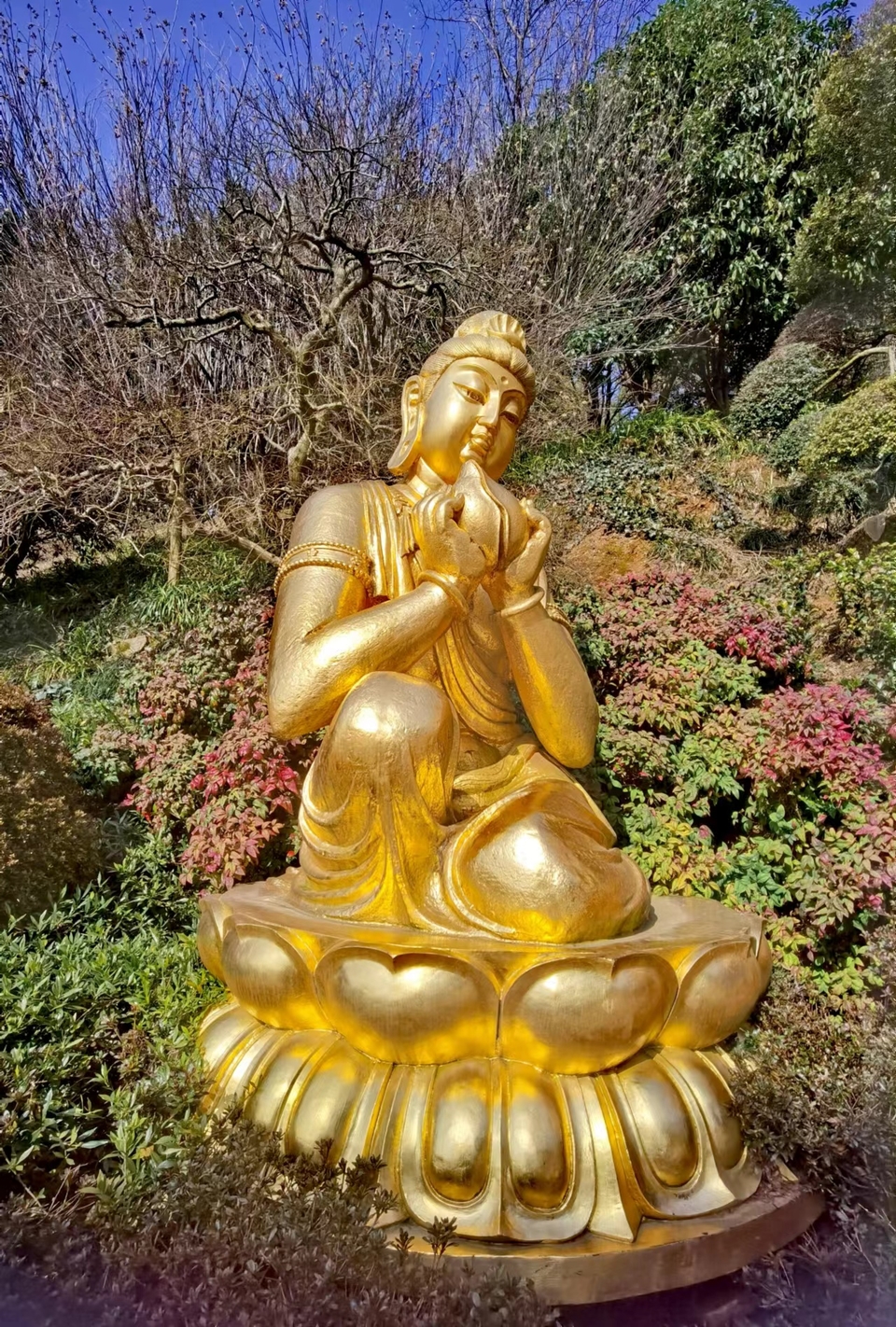 4qaj0HF3xWXom-sdkO51beEh-0KLaS3j_PDAE5vt0QRLW3bxacdWJ69mUN1X5F1J