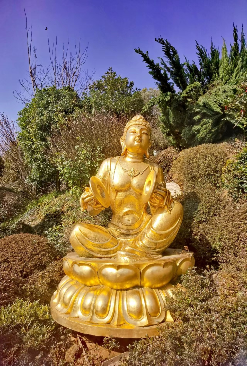 4qaj0HF3xWXom-sdkO51bZQoJ3D2LMPnXWhvhLOE81EX--CTY-MNYapOn-Auc4fK