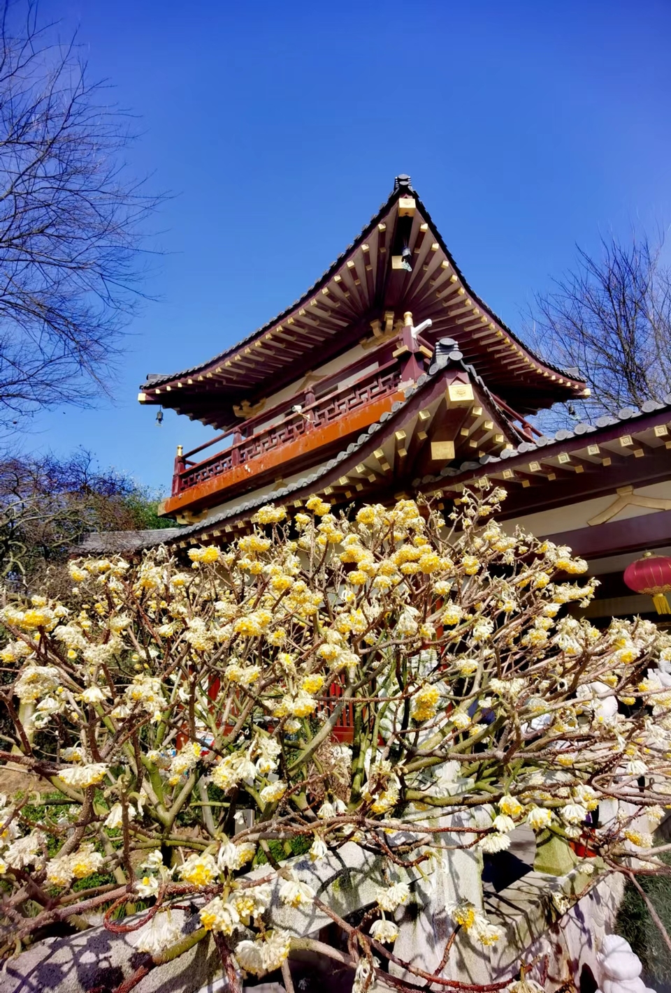 4qaj0HF3xWXom-sdkO51bcIYpnCoMf1RtgCCQGqcN2TqQCduUErSCHxs5NC-JVu9